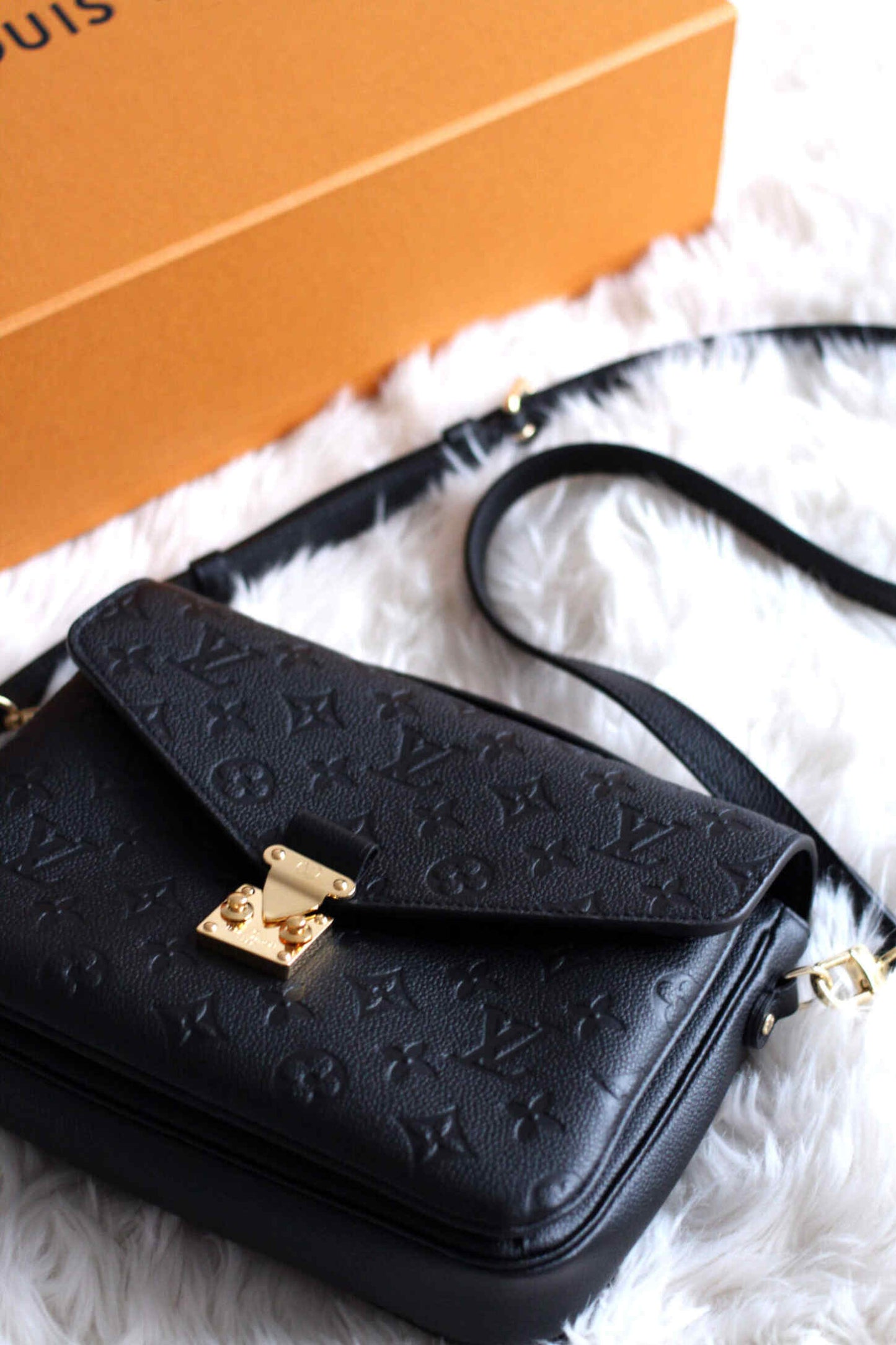 Louis Vuitton Pochette Metis Bag
